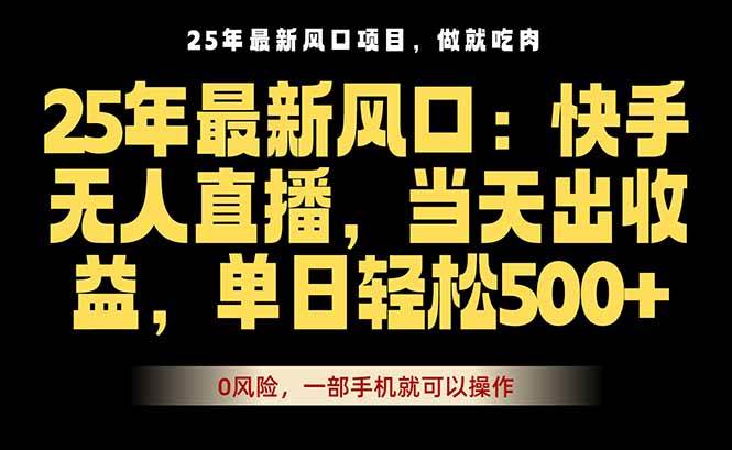 （16007期）25年最新无人直播玩法，当天秒出单，一部手机就可操作-3YVIP资源库