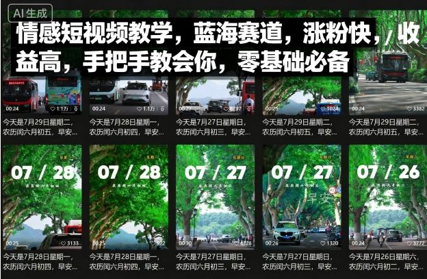 情感短视频教学，蓝海赛道，涨粉快，收益高，手把手教会你，零基础必备-3YVIP资源库