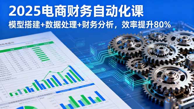 （16021期）2025电商财务自动化课，模型搭建+数据处理+财务分析，效率提升80%-3YVIP资源库