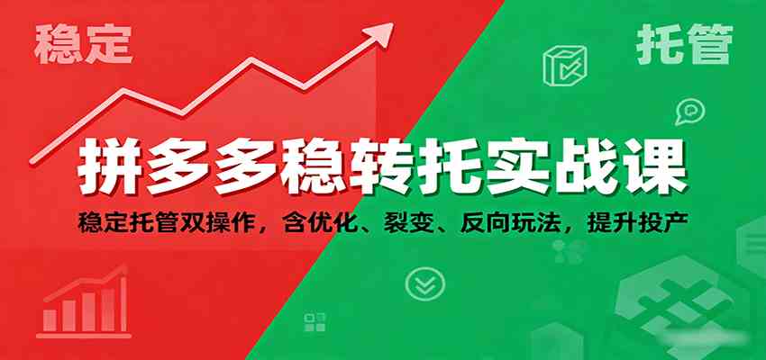 拼多多稳转托实战课：稳定托管双操作，含优化、裂变、反向玩法，提升投产-3YVIP资源库