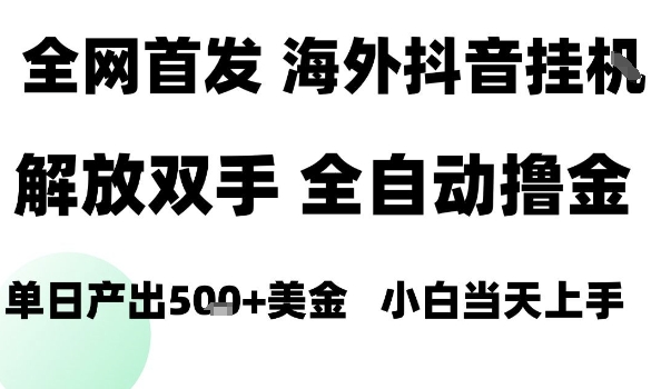 海外抖音无人直播，单日产出1.5k+，长期稳定，新手可玩，无脑操作【揭秘】-3YVIP资源库