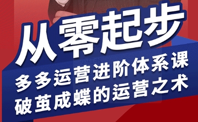 拼多多运营进阶系统课，从零起步，多多运营进阶体系课，破茧成蝶的运营之术（更新9月）-3YVIP资源库
