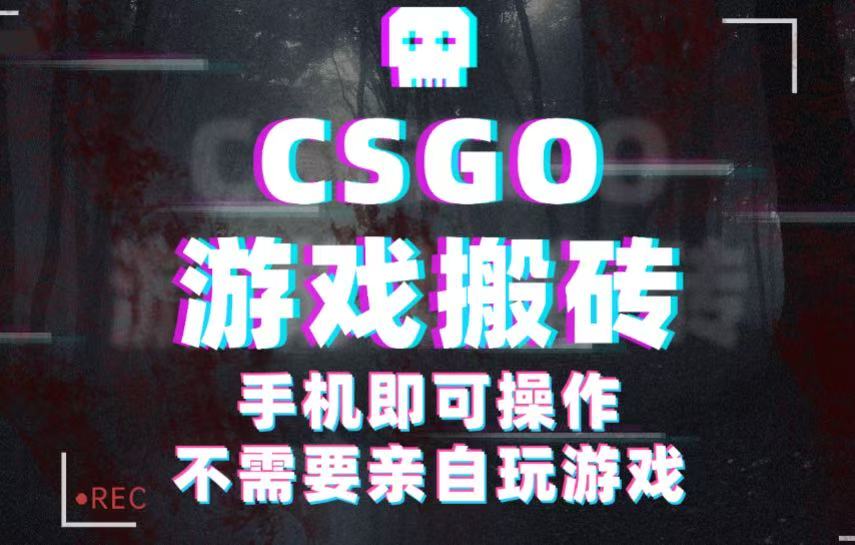 CSGO游戏挂机捡漏，单日扫货500+，年底小高峰上车可吃肉，手机即可操作兼职副业-3YVIP资源库