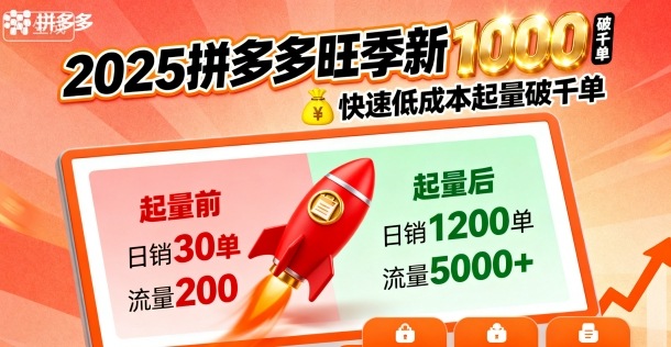 2025拼多多旺季新老店铺——快速低成本起量破千单-3YVIP资源库