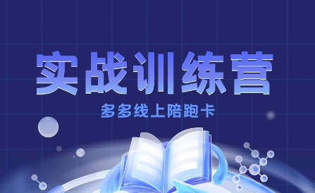 多多实战训练营，从0到1打造一个真正賺钱的店铺-3YVIP资源库