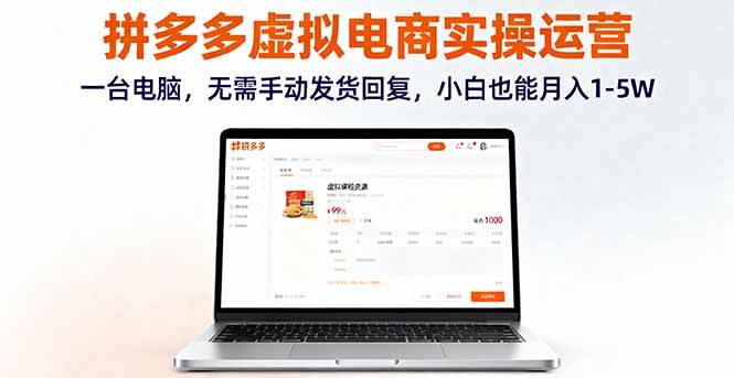 （16138期）拼多多虚拟电商实操运营，一台电脑，无需手动发货回复，小白也能月入1-5W-3YVIP资源库