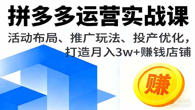 （16135期）拼多多运营实战课，活动布局、推广玩法、投产优化，打造月入3w+赚钱店铺-3YVIP资源库