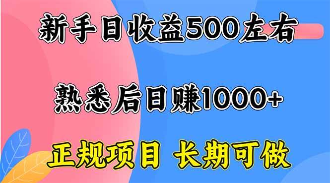 （16132期）新手日收益500+ 正规项目 长期可做-3YVIP资源库