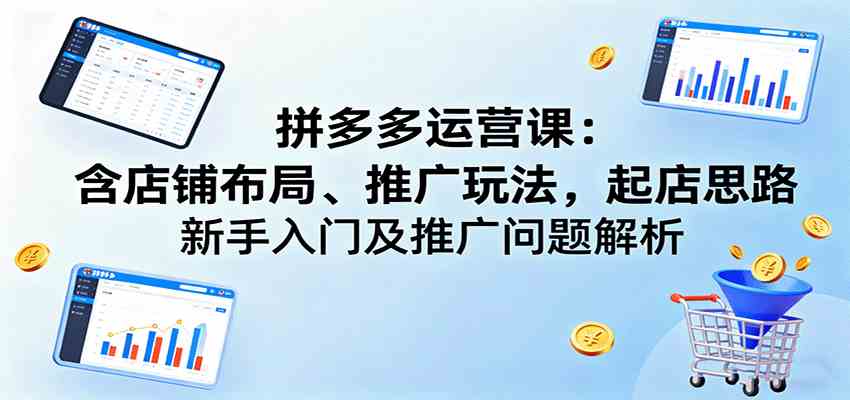 拼多多运营课：含店铺布局、推广玩法，起店思路，新手入门及推广问题解析-3YVIP资源库