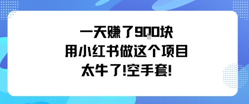 一天挣了9张用小红书做这个项目太牛了，空手套-3YVIP资源库
