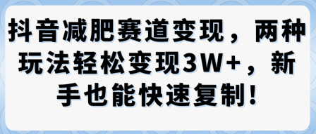 抖音减肥赛道变现，两种玩法轻松变现3W+，新手也能快速复制-3YVIP资源库