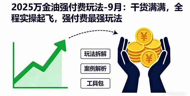 （16202期）2025万金油强付费玩法-9月：干货满满，全程实操起飞，强付费最强玩法-3YVIP资源库