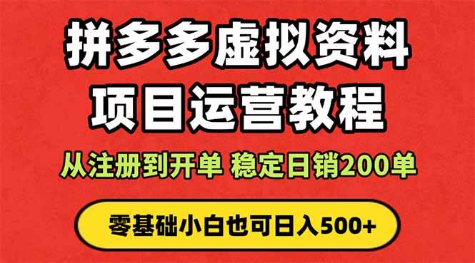 （16220期）拼多多开店运营课程： 蓝海变现玩法，轻松实现睡后收入 零基础小白也可…-3YVIP资源库