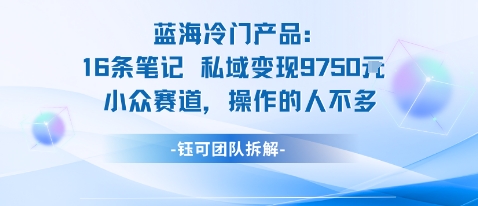 蓝海项目：16条笔记私域变现9750米小众赛道操作的人不多-3YVIP资源库