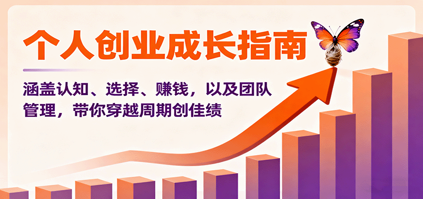 个人创业成长指南：涵盖认知、选择、赚钱，以及团队管理，带你穿越周期创佳绩-3YVIP资源库