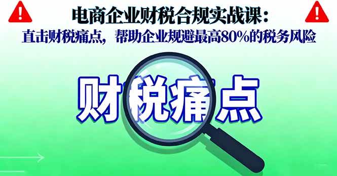 （16232期）电商企业财税合规实战课，直击财税痛点，帮助企业规避最高80%的税务风险-3YVIP资源库
