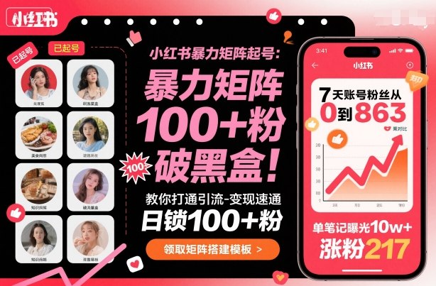 小红书暴力矩阵起号，教你打通引流-变现速通，日锁100+粉，破流量黑盒-3YVIP资源库