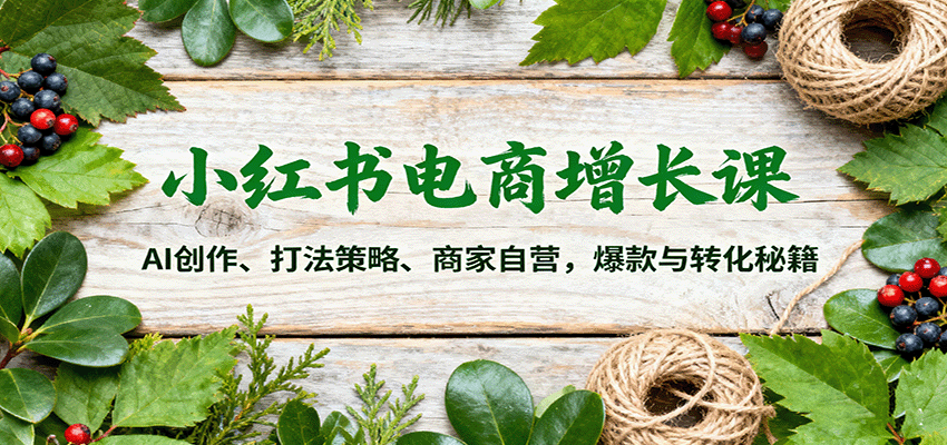 小红书电商增长课：AI创作、打法策略、商家自营，爆款与转化秘籍-3YVIP资源库