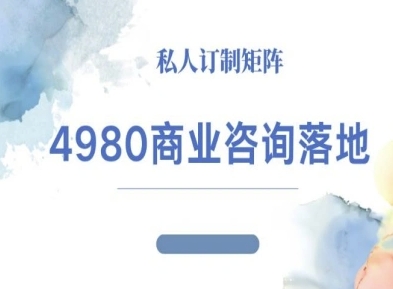 4980商业咨询师落地课程-ip运营高客单教程-3YVIP资源库