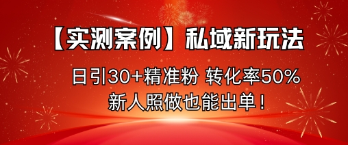 【实测案例】私域新玩法，日引30+精准粉，转化率50%，新人照做也能出单！-3YVIP资源库
