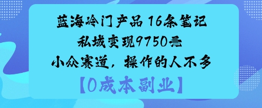 蓝海冷门产品：16条笔记私域变现9750米小众赛道，操作的人不多-3YVIP资源库