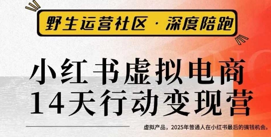 小红书虚拟电商14天变现训练营3.0，​虚拟产品，2025年普通人在小红书最后的搞钱机会-3YVIP资源库