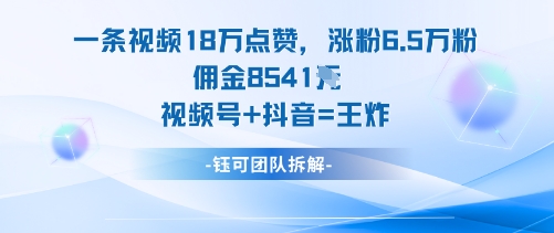 一条视频18W点赞，涨粉6.5W粉佣金8541米，视频号+抖音=王炸-3YVIP资源库
