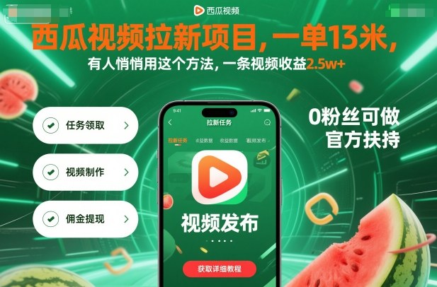 西瓜视频拉新项目，一单13米，有人悄悄用这个方法，一条视频收益2.5w+（附详细教程）-3YVIP资源库