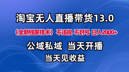 淘宝无人直播13.0，公域私域技术，不封号，不违规布局下半年旺季赛道，日入1K+（独家技术）【揭秘】-3YVIP资源库