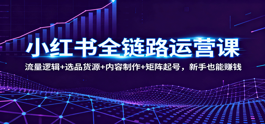 小红书全链路运营课：流量逻辑+选品货源+内容制作+矩阵起号，新手也能赚钱-3YVIP资源库