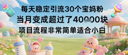 每天稳定引流30个宝妈粉当月变成超过了1W+项目流程非常简单适合小白-3YVIP资源库