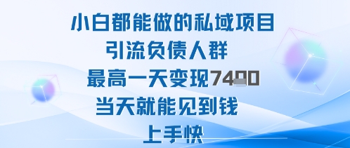 2025年小白都能做的私域项目引流负债人群最高一天变现1k+高变现难度低当天就能见到钱上手快-3YVIP资源库