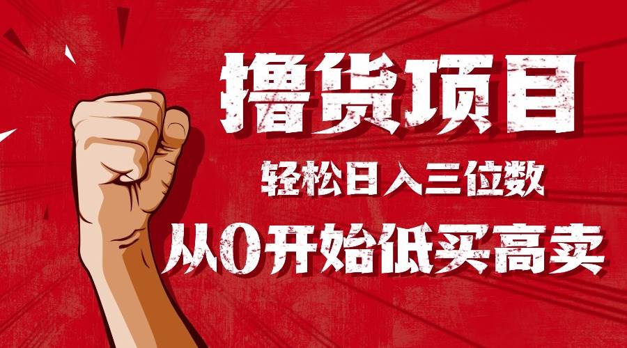 （16315期）手把手教你撸货，从0开始低买高卖，小白轻松实现日入三位数!!!-3YVIP资源库