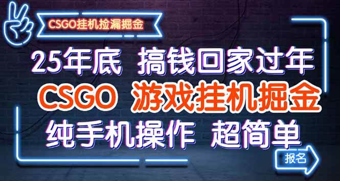 （16343期）25年底搞钱回家过年，CSGO游戏挂机掘金，纯手机操作超简单-3YVIP资源库