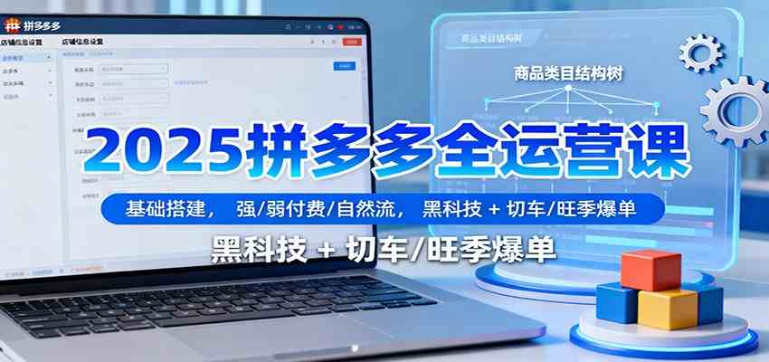 2025拼多多全运营课：基础搭建，强/弱付费/自然流，黑科技 + 切车/旺季爆单-3YVIP资源库