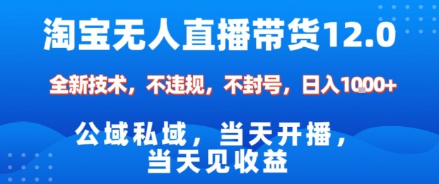 淘宝无人直播12.0，公域私域技术，不封号，不违规布局双十一流量风口，日入1k（独家技术）【揭秘】-3YVIP资源库