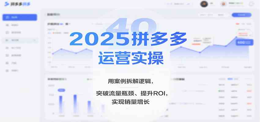 2025拼多多运营实操，用案例拆解逻辑，突破流量瓶颈、提升ROI，实现销量增长-3YVIP资源库
