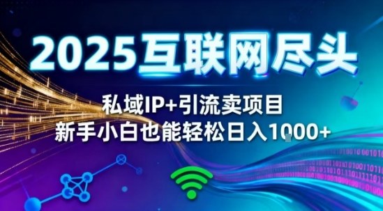 2025网创尽头王炸项目！私域IP+精准引流，新手小白在家躺賺日入1k，零经验也能上手【揭秘】-3YVIP资源库