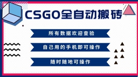 CSGO全自动搬砖，年底钱回家好项目，当天可拿到结果，新手小白轻松月入1W+【揭秘】-3YVIP资源库