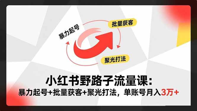 （16513期）小红书野路子流量课：暴力起号+批量获客+聚光打法，单账号月入3万+-3YVIP资源库